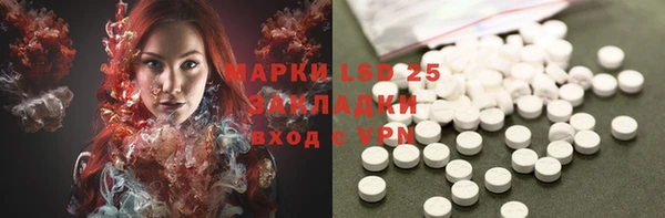 шишки Балабаново
