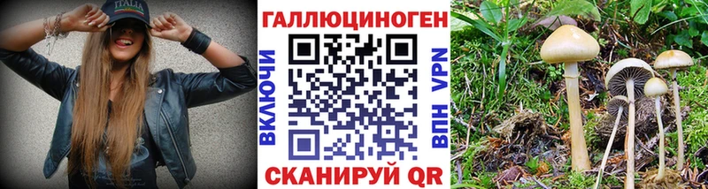 Галлюциногенные грибы GOLDEN TEACHER  omg   Ленинск  как найти закладки 