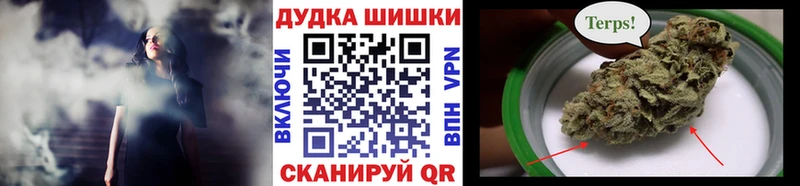 MEGA ТОР  дарнет шоп  Ленинск  Конопля SATIVA & INDICA 
